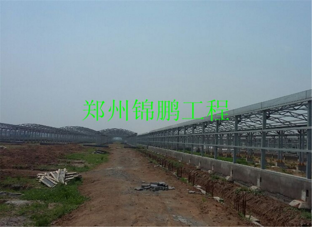 許昌現(xiàn)場(chǎng)